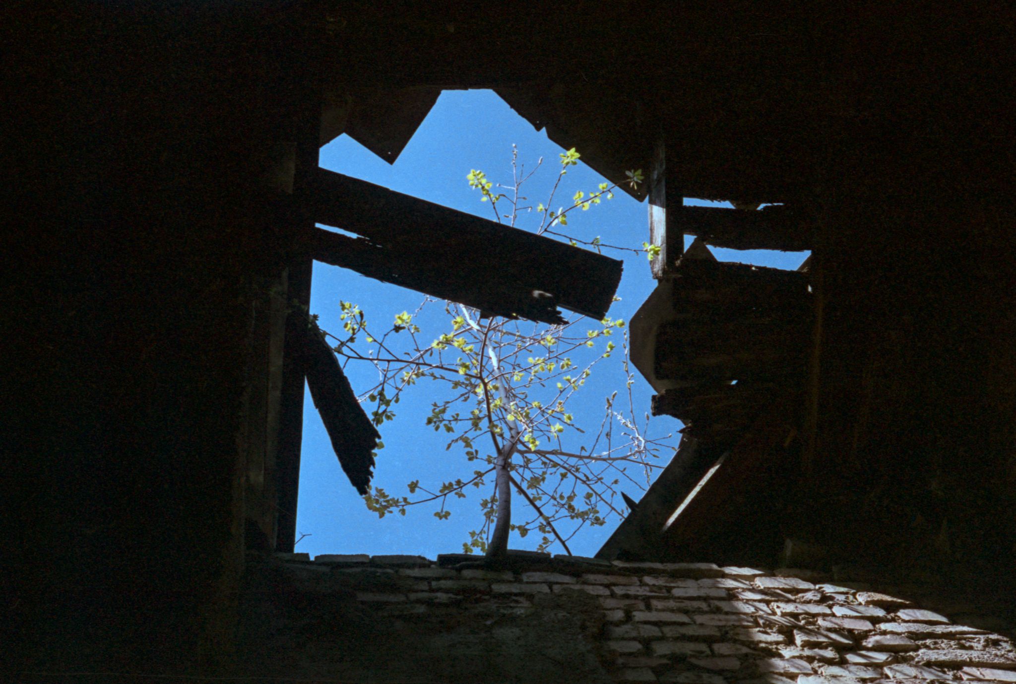A rooftop window in a ruined train station