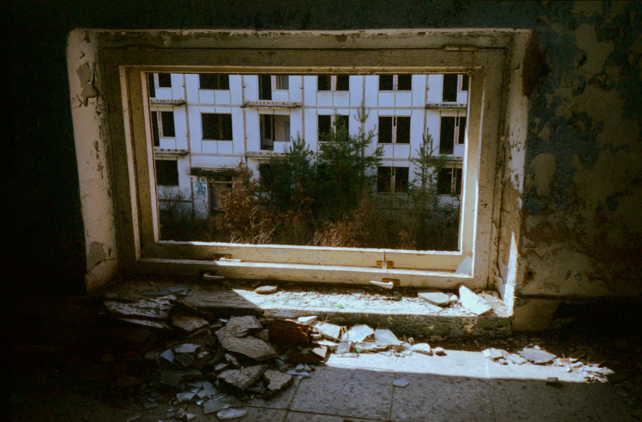 A broken window in a ruined army basement